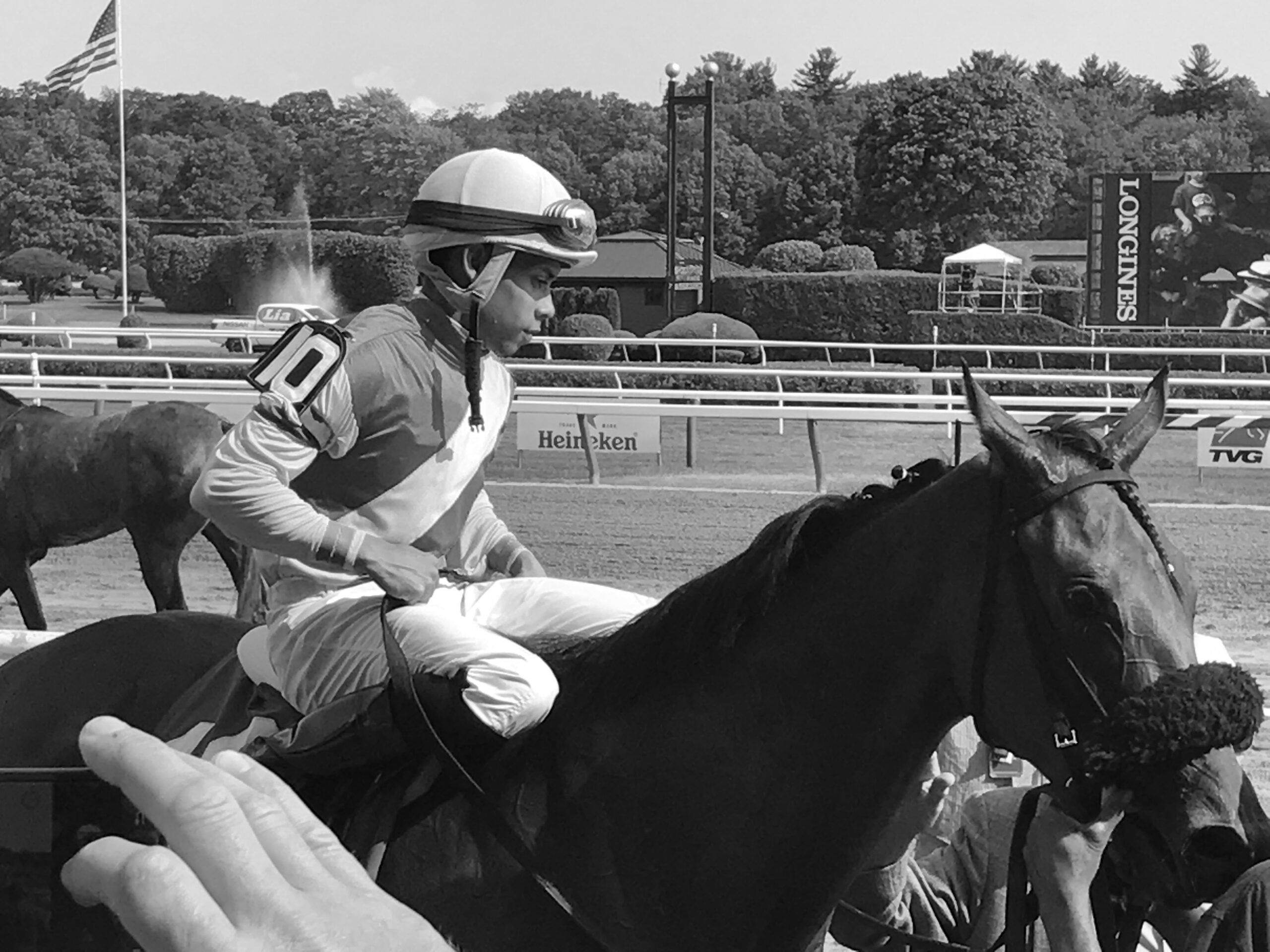 Horse and jockey image for wealth management client audience section