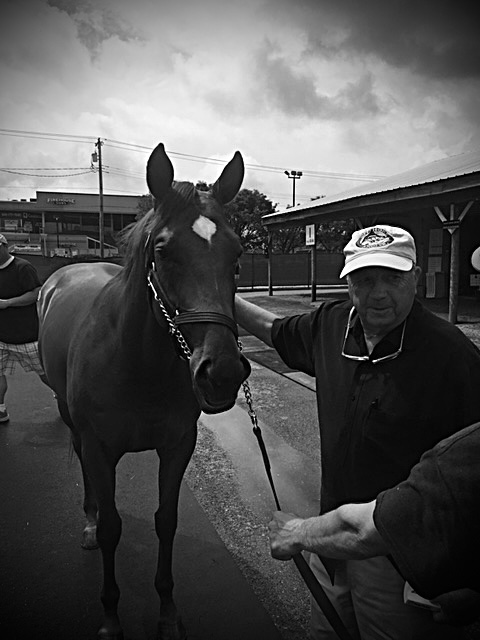 Horse racing image for Who We Serve page
